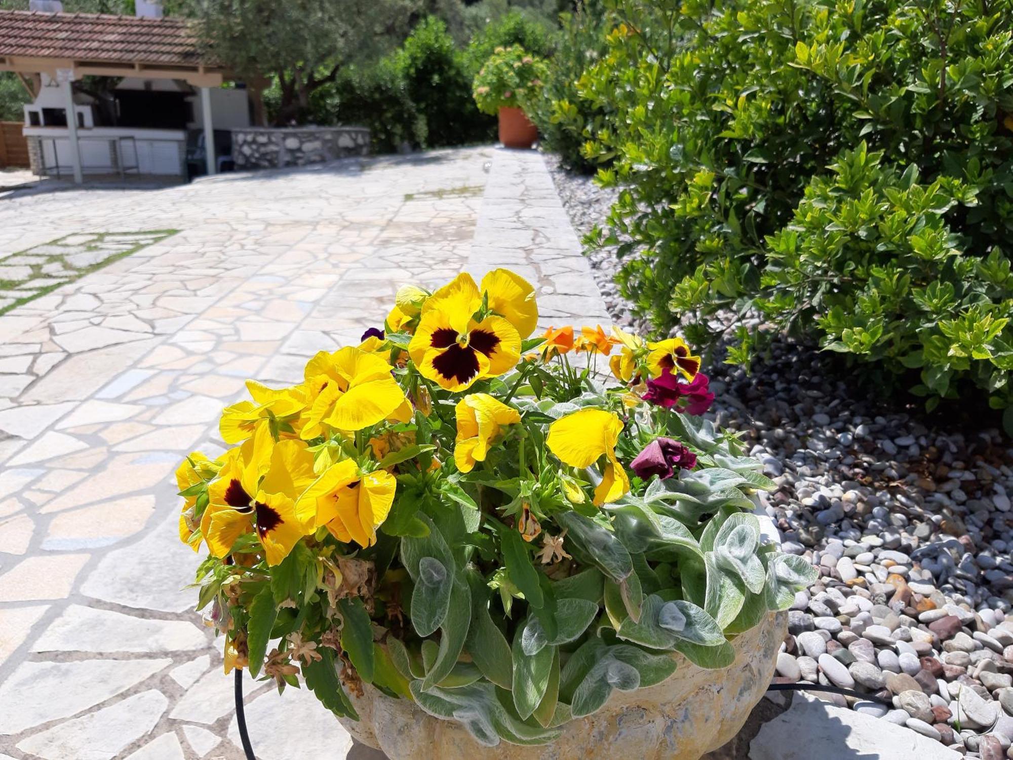Korakias Seaview Villa Geni  Exterior photo